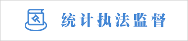 統(tǒng)計(jì)執(zhí)法監(jiān)督